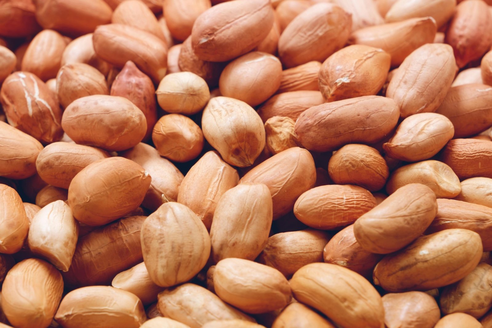 Quality Seeds and Improved Cultivation