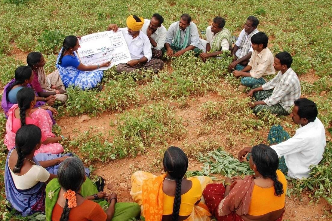 FPO and SHG Development